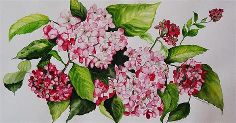 Pink Hydrangeas Painting by Arleen Spears - Fine Art America