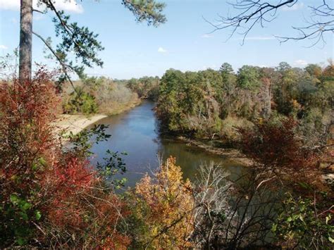 Cliffs of the Neuse State Park - Fall | Park falls, State parks, Places ...