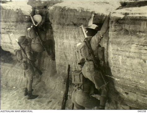 Dimra, Palestine. 1941-03. Members of 2/16th Battalion, AIF ...