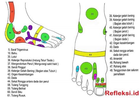 Titik Refleksi Punggung Kaki Lengkap Beserta Keterangannya