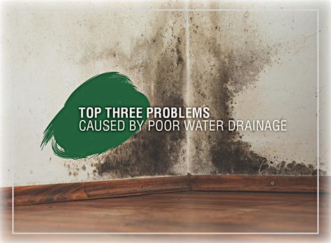 Top Three Problems Caused by Poor Water Drainage