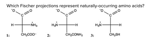 Solved Which Fischer projections represent | Chegg.com