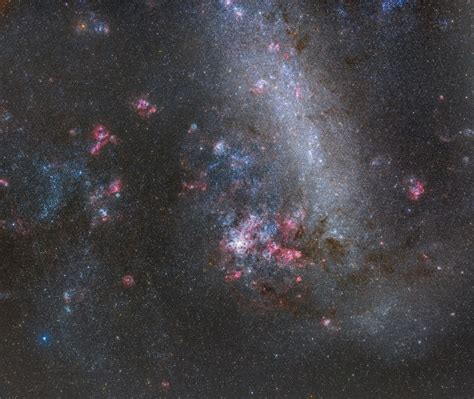 The Large Magellanic Cloud | Telescope Live