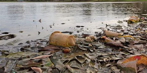 La contaminación en agua dulce pone en riesgo la alimentación, dice la ...