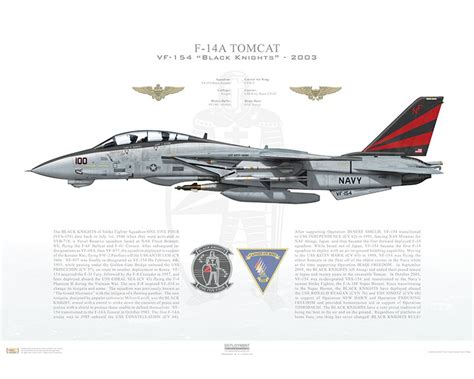 Air Postcard F-14A TOMCAT VF-154 US Navy Profile Card rfe.ie