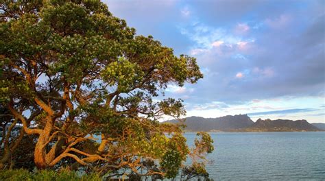 Visit Whangarei Heads: 2024 Travel Guide for Whangarei Heads, Northland ...