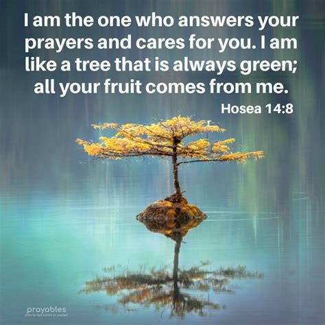 Bible: Hosea 14:8 - Prayables