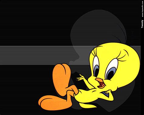 Image - Tweety-Bird-Wallpaper-tweety-bird-6041231-1280-1024.jpg ...