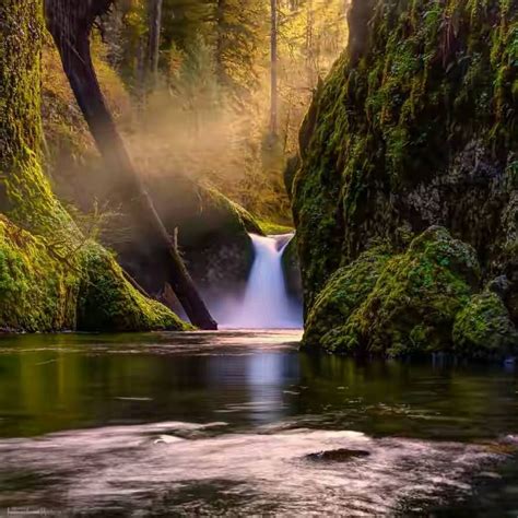 Serene setting. | Nature, Waterfall, Cascade