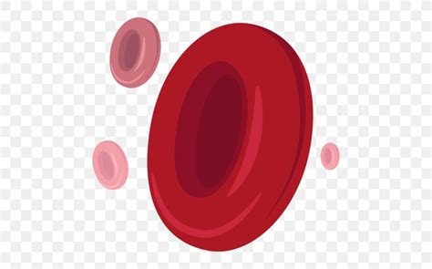 Red Blood Cell Hemoglobin, PNG, 512x512px, Red Blood Cell, Animation, Blood, Blood Cell, Cell ...