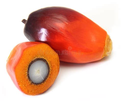 Oil palm fruit stock image. Image of resources, seed - 27464017