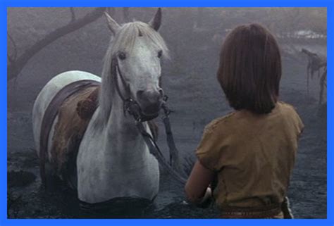 Trauma Scene:: The NeverEnding Story & the Death of Artax | kindertrauma