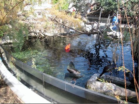 Fishes, science and architecture in Valencia - 2wanderers