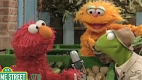 Sesame Street helps children – and adults – prepare for Hurricane Sandy | news.com.au ...