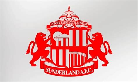 Sunderland Football Club Badge XL - Vinyl Decal Sticker: Amazon.co.uk ...