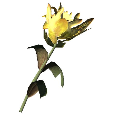 Yellow Mountain Flower - Skyrim Wiki