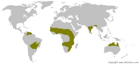 Climatic Regions - Geography - UPSCFEVER