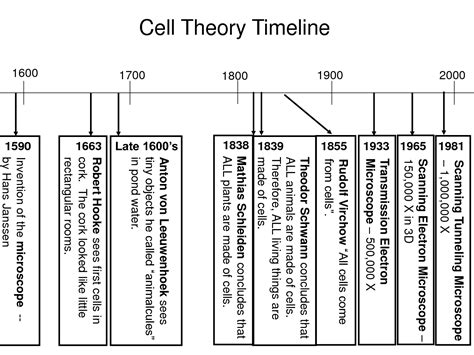 Timeline Of The Cell Theory