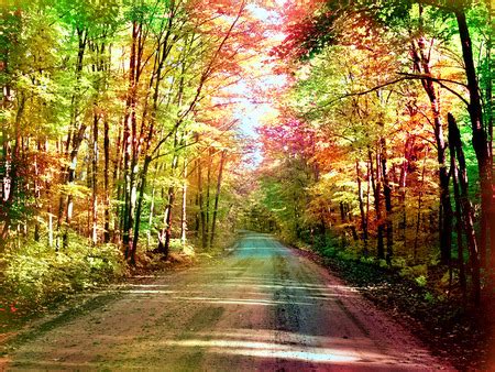 Seasons Change - Forests & Nature Background Wallpapers on Desktop ...