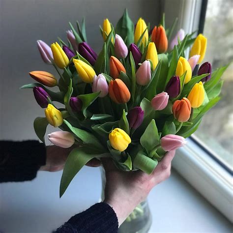 Mixed Tulips Fresh Flower Bouquet | Colourful Tulips Delivered Direct ...