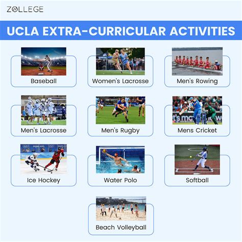 University of California Los Angeles: Ranking, Courses, Fees, and ...