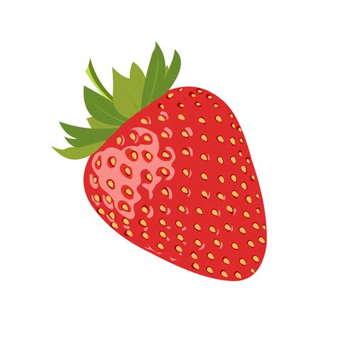 Strawberry Vector Art, Icons, and Graphics for Free Download