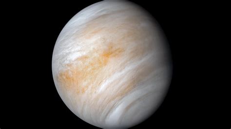 On Venus, Cloudy With a Chance of Microbial Life - The New York Times