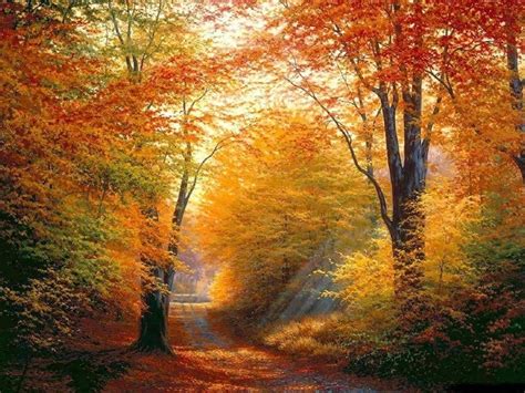 Colorful autumn landscapes