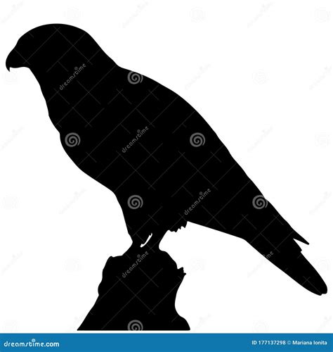 Falcon Silhouette Isolated on White Background Stock Vector - Illustration of bird, wild: 177137298