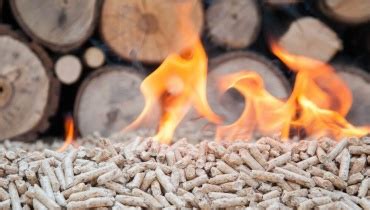 Biomass Fuel Examples