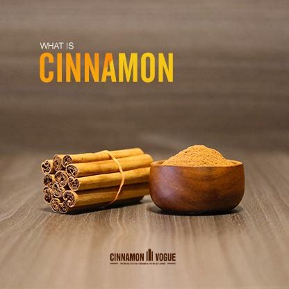 What is Cinnamon | Cinnamon Vogue