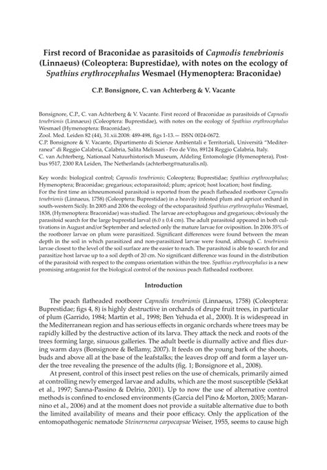 (PDF) First record of Braconidae as parasitoids of Capnodis tenebrionis ...