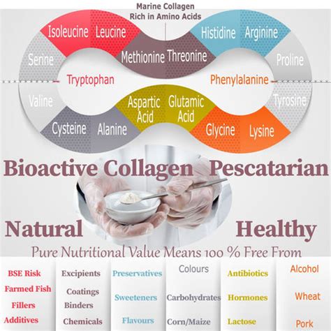 Our Collagen's Amino Acids - Dietapplements