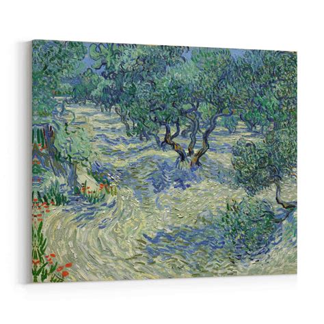 Olive Orchard Van Gogh Wall Art Olive Orchard Canvas Print | Etsy