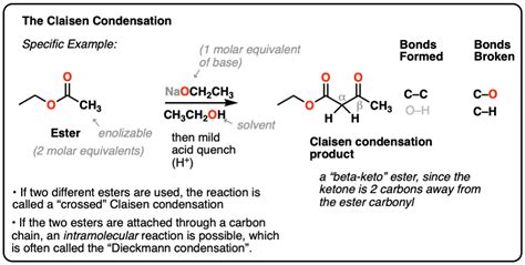 Berg Bewegung schwer claisen condensation mechanism Stammbaum Das ...