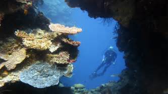 Diving Papua New Guinea ’s Top 5 Dive Spots