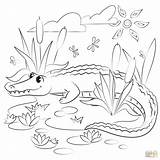 Alligator coloring Page  Free Printable Coloring Pages sketch template