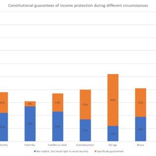 Constitutional guarantees of income security during different ...