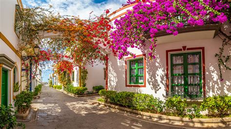 Qué ver en Puerto de Mogán, un pueblo con sabor a mar