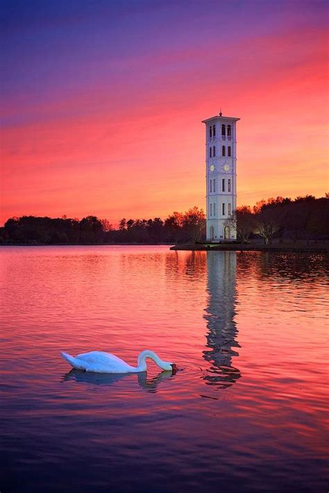 swan lake | Lake sunset, Beautiful landscapes, Photo