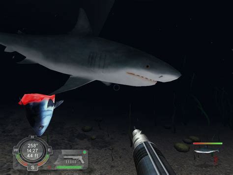 Download Shark! Hunting the Great White (Windows) - My Abandonware