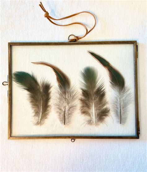 Framed Feathers Wall Art Feather Wall Art Gold Frame With - Etsy