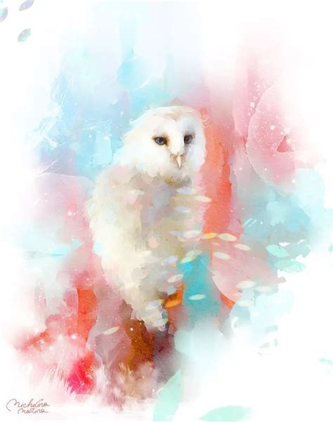 Owls – The Harry Potter Lexicon