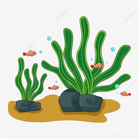 Algae Plant Clipart Transparent Background, Algae Plant Seaweed Clip Art, Seaweed Clipart, Algae ...