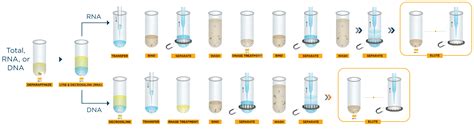 Nucleic Acid Extraction Automated Workstation