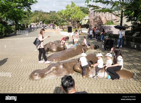 Hippo,hippopotamus,sculpture,Taipei Zoo,zoo,animals,Taipei,Taipei City,Taiwan,city,island ...