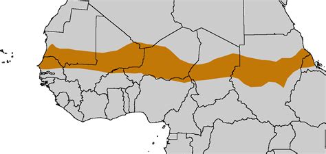 The Sahel is a mixture of mountains, deserts, and stuff........... | Africa, African history ...