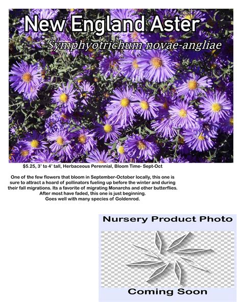 2020 Nursery Catalog — Indigenous Landscapes