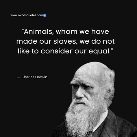 30 BEST Charles Darwin Quotes From Evolution On Life