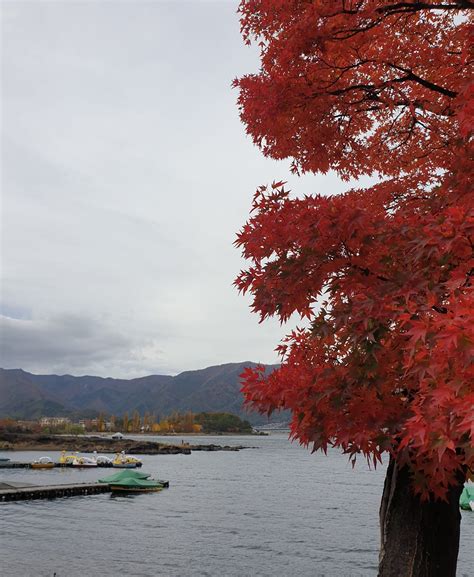 Mt Fuji & The Five Lakes area | SuzieQ26uk | Flickr